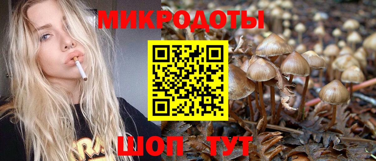 Сальск  Галлюциногенные грибы MAGIC MUSHROOMS  Вход с VPN  Псилоцибиновые грибы прущие грибы 